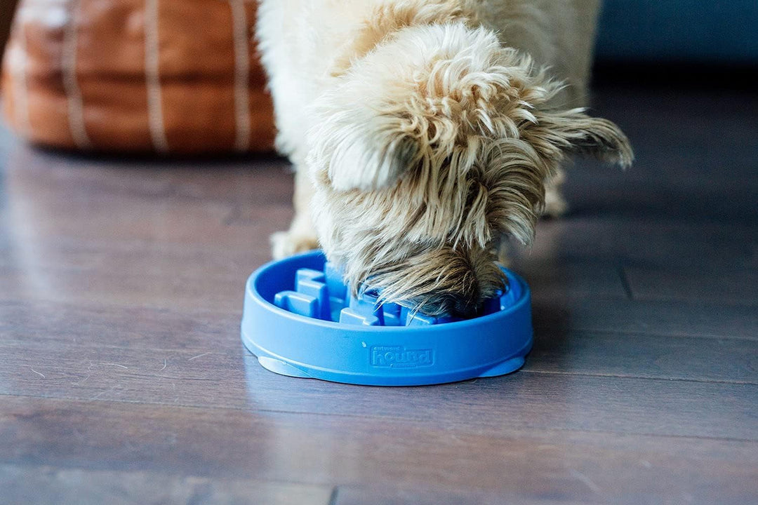 FUN FEEDER MINI BOWL Blue