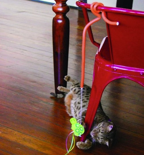 KONG Cat Cat toy fishing rod Connects Benderz Dragonfly