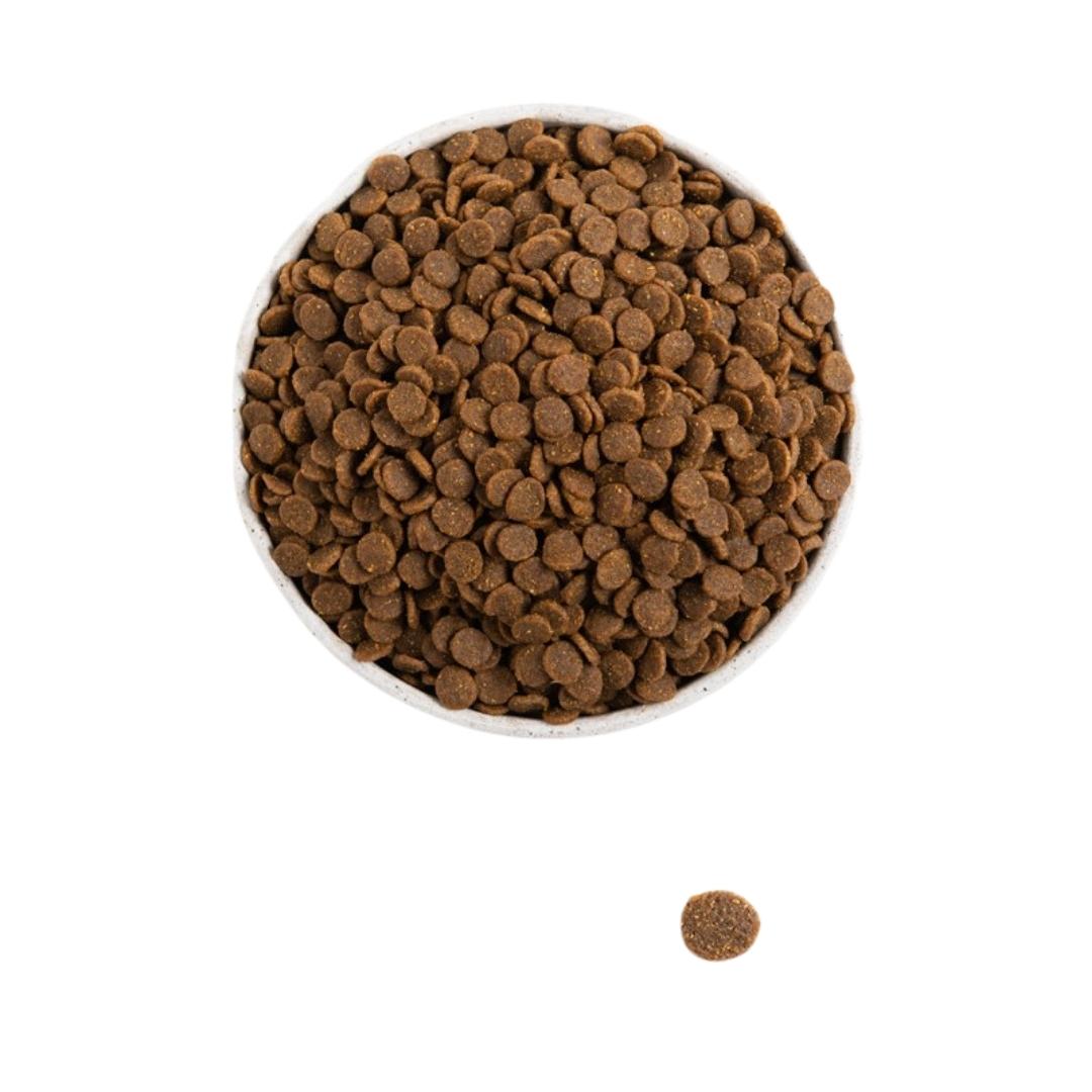 Acana Grass-fed Lamb 2kg