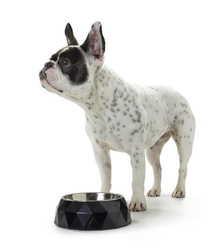 Kimberley Dog or cat bowl