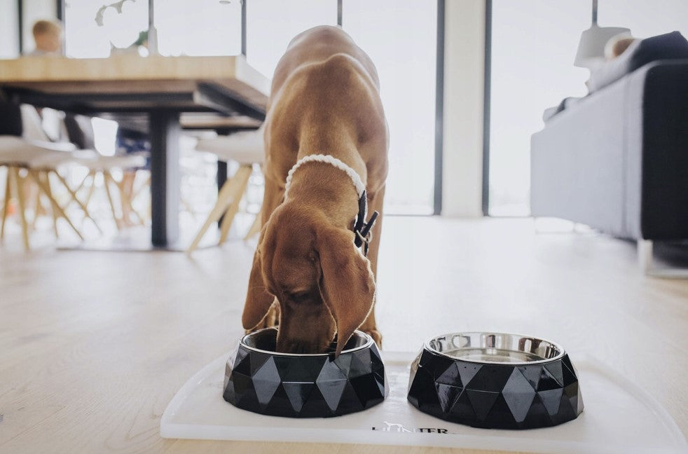 Kimberley Dog or cat bowl