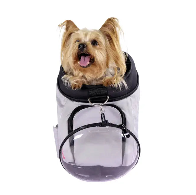 Ibiyaya Explorer AIRLINE Transportbox für eine Katze oder einen kleinen Hund