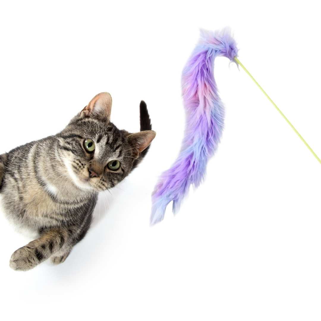 BUBA Long tail cat fishing rod