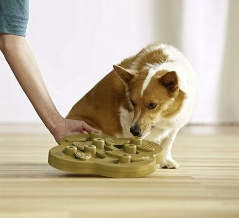 NINA OTTOSSON DOG HIDE N SLIDE COMPOSITE Level 2 interaktives Hundespiel