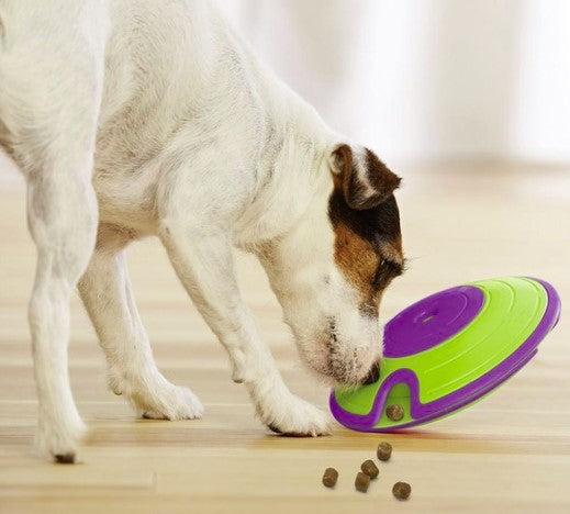 Interaktives Hundespiel NINA OTTOSSON DOG TREAT MAZE GREEN Level 2