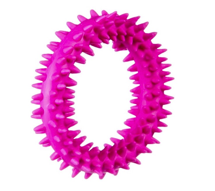 Barry King mały ring XS dla szczeniąt różowy 9,5cm