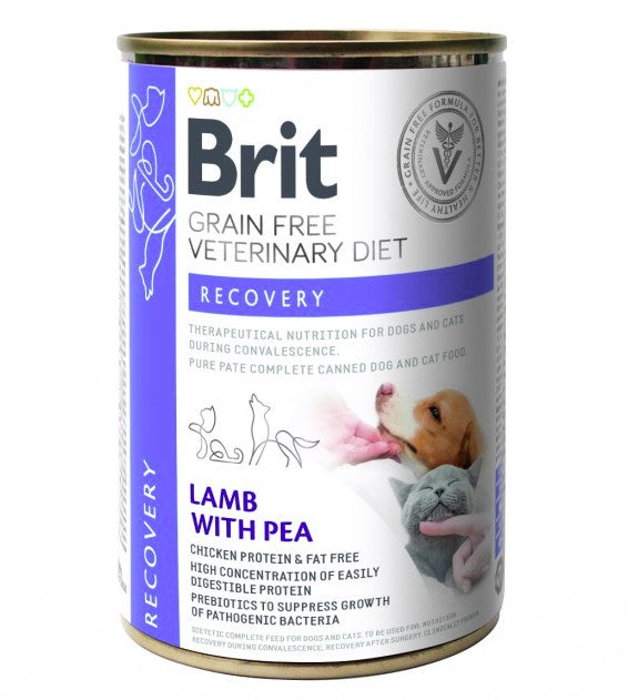 Brit Recovery 400g