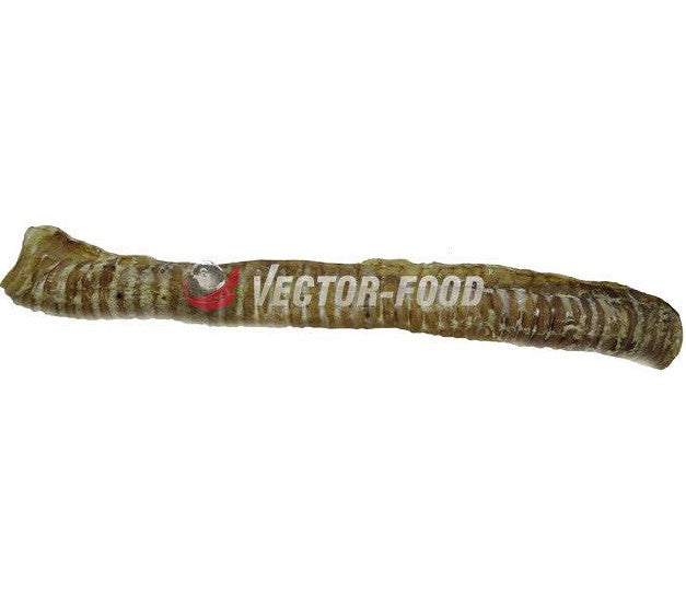 VF TCHAWICA WOŁOWA CAŁA 1SZT/35CM