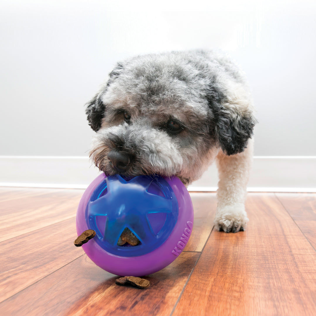 KONG Hopz Ball S Hundespielzeug